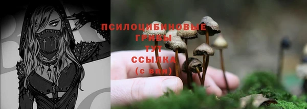 гашиш Алексеевка