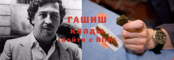 ешки Алексин