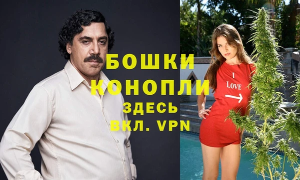 бошки Алзамай