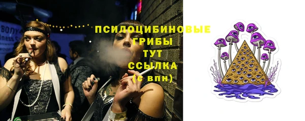 бошки Алзамай